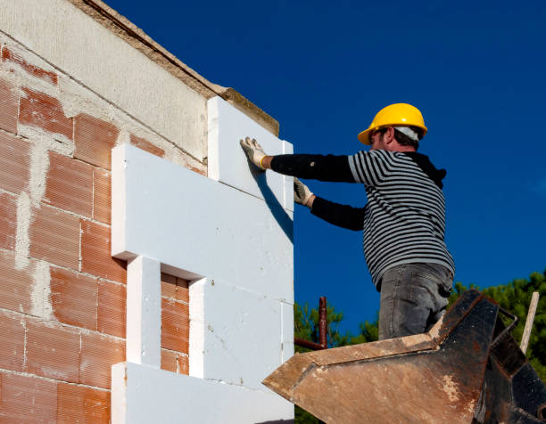 Best Eco-Friendly Insulation in Lakewood, CO